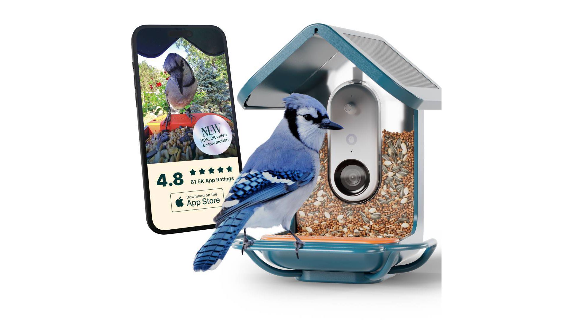 Birdbuddy Pro Solar Smart Bird Feeder + Perch Extender