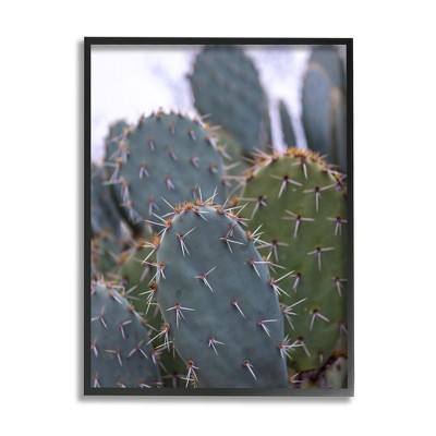 Stupell Prickly Cactus Desert Photography Framed Giclee