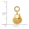 Black Bow Jewelry 14k Yellow Gold Open Back Seashell Charm or Pendant, 10mm (3/8 Inch) - 4 of 4