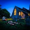 Halloween Decorations Big Spider Black Soft Hairy Scary Spider Fake Large Pops for Halloween Outdoor Yard Party - 4 of 4