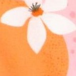 orange you the sweetest