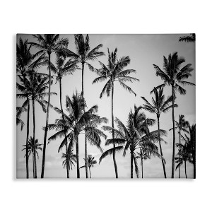 Stupell Industries Black & White Palm Trees Skyline Canvas Art - 1 of 4