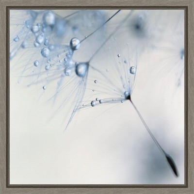Amanti Art Baby Blue Dandelion Flower by Ingrid Beddoes Canvas Wall Art Print Framed 16 x 16-in.