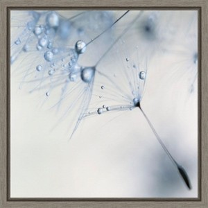 Amanti Art Baby Blue Dandelion Flower by Ingrid Beddoes Canvas Wall Art Print Framed 16 x 16-in. - 1 of 4