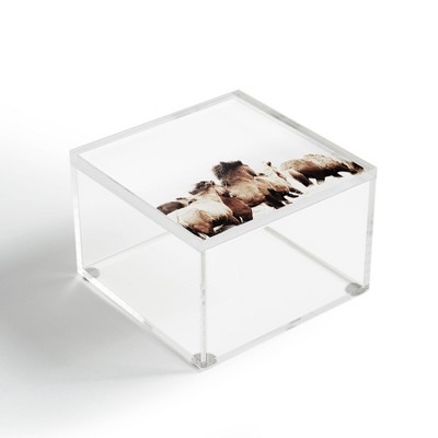 Monika Strigel Wild And Free 2 Horses Of Ice 4" x 4" Acrylic Box - Deny Designs