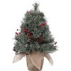 Acekool 2ft Mini Tabletop Tree - Pre-Lit LED Decor with Pinecone Accents - 2 of 4
