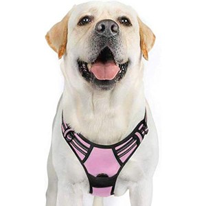 rabbitgoo Raised Stainless Steel & Plastic Nonslip Rubber Bottom Food & Water Station forDog Harness - 1 of 1