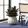 Kaston Planter - Indoor/Outdoor - PAT1522 - Safavieh - 3 of 4