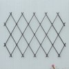 Achla Designs 43" Traditional Wall Mounted Lattice Iron Garden Trellis Graphite Powder Coat Finish: Corrosion-Resistant, Includes Hanging Hardware - 2 of 4