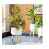 Mark & Day Dzhebel 20"H x 14"W x 14"D Modern White Planter - 2 of 4