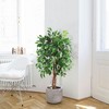 Whizmax Artificial Ficus, Fake Ficus Silk Tree with Natural Wood Trunk in Plastic Nursery Pot for Indoor Outdoor House Living Room Office - 2 of 4