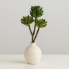 Succulent Plant Pick (Set of 6) - 2 of 3