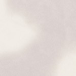 pink with gold legs 200 (long plush 1119)