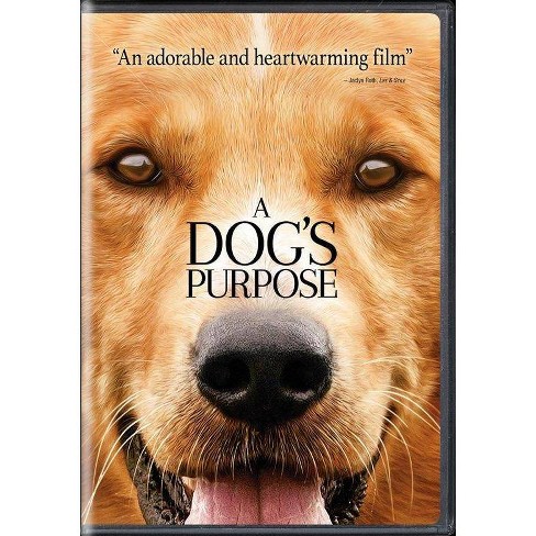 a dogs purpose movie online