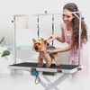 VEVOR 50"Electric Pet Grooming Table,Heavy Duty Dog Grooming Arm,Height Adjustable, Anti Slip Tabletop/Dog Grooming Station, Max Bearing 400LBS,Black - 2 of 4
