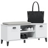 vidaXL Shoe Storage Bench White Engineered Wood, Plastic - 4 of 4