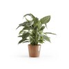 Ecopots Amsterdam Durable Modern Round Indoor/Outdoor Recycled-Based Composite Flower Pot Planter - 4 of 4