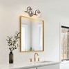 LNC Astrid Polished Gold and Matte Black Modern/Contemporary Vanity  Lights,Textured Globe Glass,1 Light/2 Light/3 Light/4 Light - 4 of 4