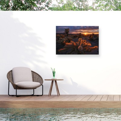 Trademark Fine Art - Inigo Cia Cholla Garden Matted Framed Art