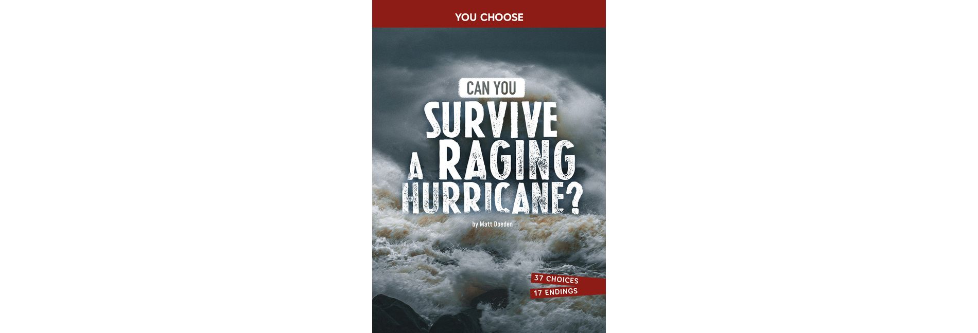 Can You Survive a Raging Hurricane? - (You Choose: Surviving Natural Disasters) by  Matt Doeden (Paperback)