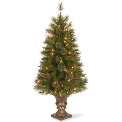 National Tree Company 4 ft. Atlanta Spruce Entrance Tree with Clear Lights