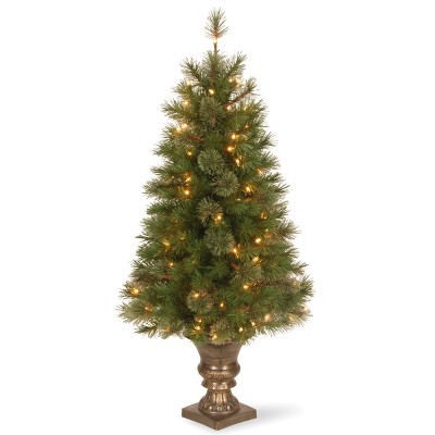 National Tree Company 4 Ft. Atlanta Spruce Entrance Tree With Clear ...