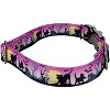 Country Brook Petz Premium Dog Collar - Halloween Collection - 3 of 4