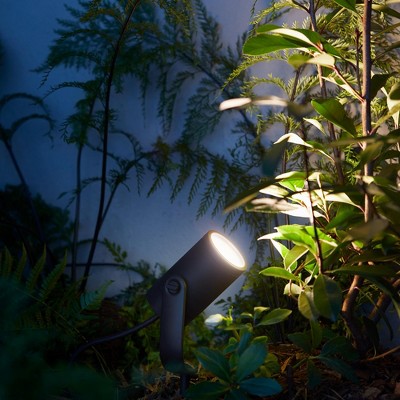 Philips Hue Black Matte Chrome Outdoor LED Smart Spot Light