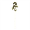 Sedum Succulent Spray (Set of 6) - 3 of 4