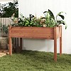 Whisen Elevated Wooden Garden Bed with Legs - 2 of 4
