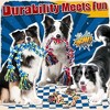 Itopfox Heavy Duty Dog Toy for Aggressive Chewers – Tough Chew Toys for Large Dogs, Ideal for Tug-of-War & Teeth Cleaning, with 3 Rope Toys - 4 of 4