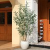Dr.Planzen 8ft Artificial Ficus Tree with 18in White Planter, Tall Faux Ficus Trees with Real Wood Branches for Indoor and Outdoor Home Decor - 3 of 4