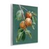 Stupell Industries Autumn Harvest Fruits Wall Plaque Art - 2 of 4