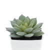 Unique Bargains Artificial Plants Plastic Green 2.2"x2.2"x2.56" 1 Pcs - 4 of 4