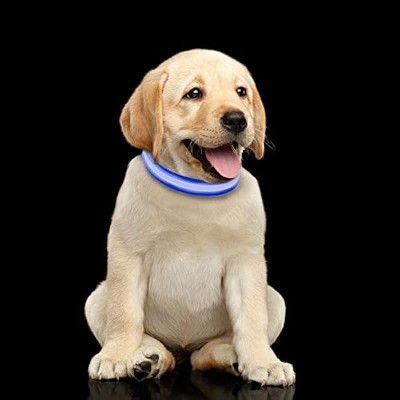 PETMAKER LED Medium Dog Collar-Lights Up for Night Visibility and Safety- Adjustable, Rechargeable, 3 Flash Modes-for Evening Walks or Runs (Blue)