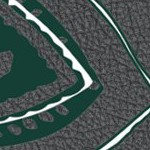 michigan state spartans