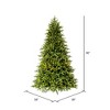 Vickerman Jersey Fraser Fir Artificial Christmas Tree PreLit - 3 of 4