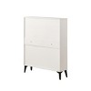 Syemin Shoe Racks Large Size Shoe Cabinet, Free Standing Tipping Bucket Shoe Rack Organizer, Modern Tipping Bucket, White, 31.49"*9.44"*42.12" - 4 of 4