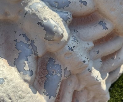 Guest review image 5 of 6, zoom in