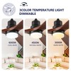 Wanze of Ocean 60 in. Smart Black Solid Wood Brown Blades 2-Size Downrod Mount Standard Ceiling Fan with 3-Color Dimmable LED Light - 4 of 4
