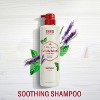 Old Spice Gentleman’s Blend Soothing Men's Shampoo with Lavender & Mint Scent, 14.8oz - 4 of 4
