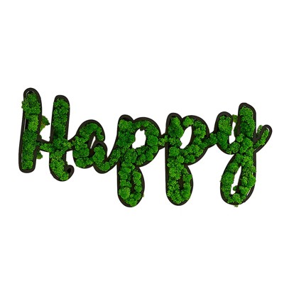 VisioGear HAPPY Letter Art Moss Wall Decor for Hallway Office Wall Decor, Green, 31.5"*15.2"*1.58"