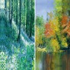 6" Double Sided Nature's Embrace Canvas Room Divider Green - Oriental Furniture: Adjustable 3-Panel, Spruce Wood Frame, No Assembly Required - 4 of 4
