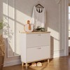 Mshliw Narrow Shoe Storage Cabinet with 2 Flip Drawers Freestanding Shoe Organizer for Entryway Slim Shoe Rack for 8 to 16 Pairs - 2 of 4