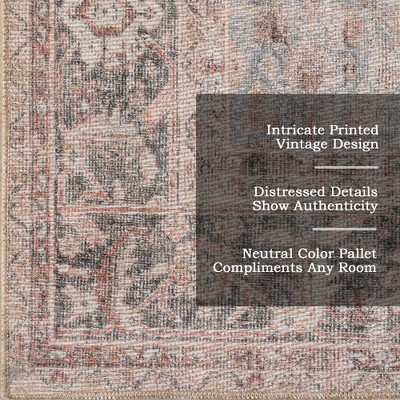 Hillstone Red and Beige Rectangular Synthetic Area Rug