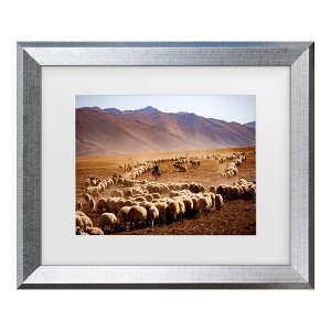 Trademark Fine Art - Murat Cacim  Desert Sheep Herd Matted Framed Art - 1 of 4