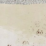 farmhouse gray