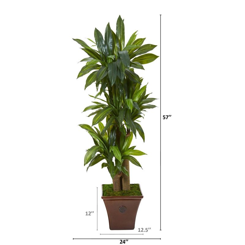 Nearly Natural 57-in Corn Stalk Dracaena Artificial Plant in Brown Planter (Real Touch), 2 of 3