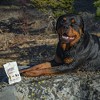 Hemp Well Thrive Dog Soft Chews – Your Dog's Daily Wellness Alternative - 2 of 4