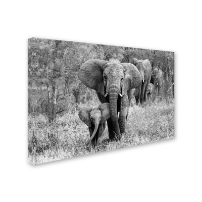 Trademark Fine Art -Bertram Schemel 'Elefamily' Canvas Art